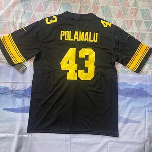 Troy Polamalu #43 Pittsburgh Steelers Black Jersey